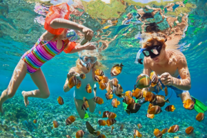 3 kids snorkeling with fish