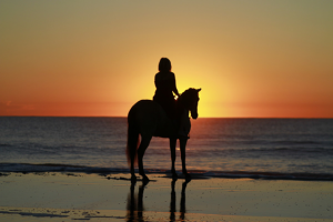 woman on horse at sunset on beach