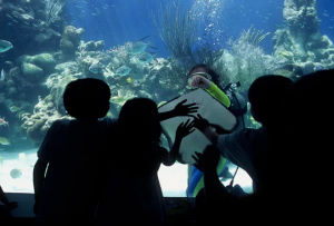 kids looking at stingray at waterpark